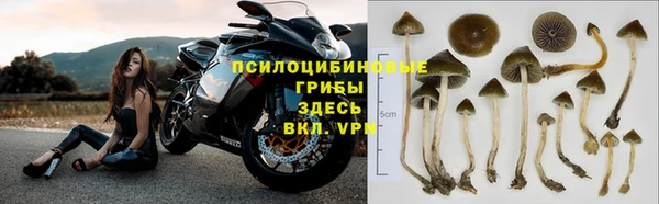 гидропоника Остров