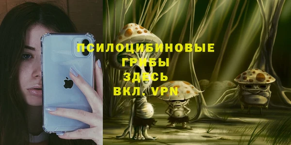 spice Осташков