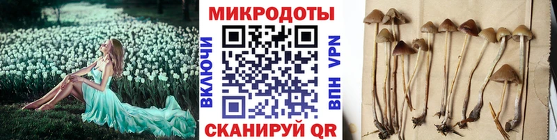 Псилоцибиновые грибы мицелий  закладка  Торжок 